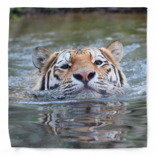 SwimmingTiger20150901 Bandana
