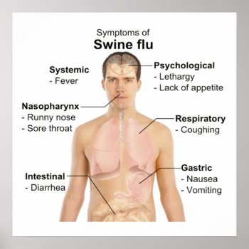 Swine Flu Poster by Hit_or_Miss at Zazzle