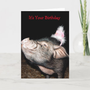 Swine Time, Pig Birthday Card