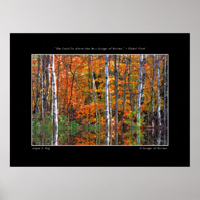 Swinger of Birches Poster (Front)