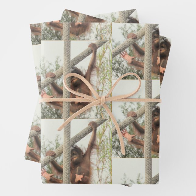 Swinging Baby Orangutan All Occasion Wrapping Paper Sheets (In situ)
