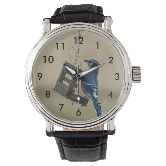 Swinging Blue Jay Watch (Front)