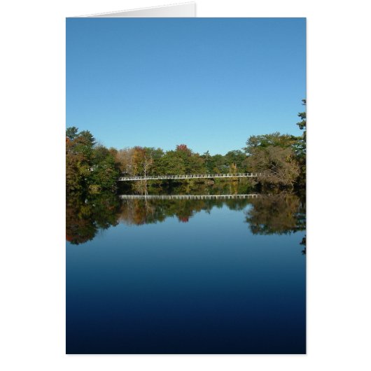 Swinging Bridge Cards (Front)