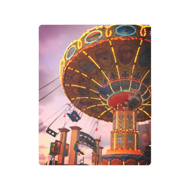 Swinging High  Metal Print (Front)