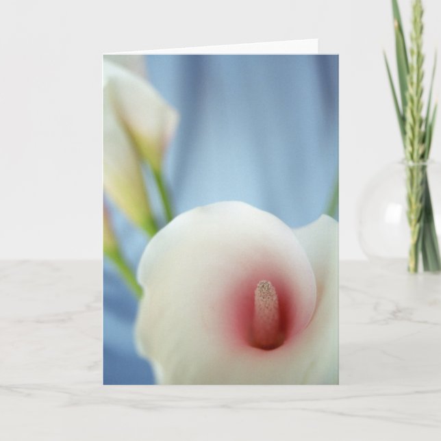 Swirl Lily Flower Greeting Card (Front)