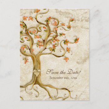 Swirl Tree Roots Antiqued Parchment Wedding Save Announcement Postcard by AudreyJeanne at Zazzle