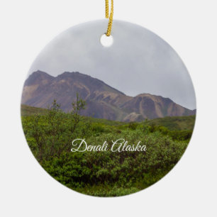 Swirled Beauty In Denali Ornament Souvenir