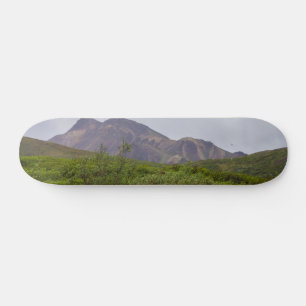 Swirled Beauty In Denali Skateboard Deck