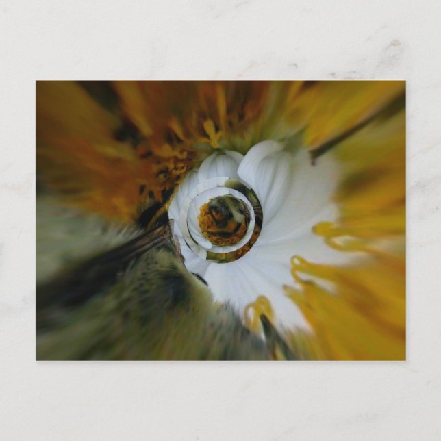 Swirled beez postcard (Front)