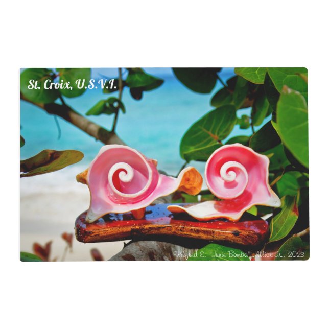 Swirls Conch Shell Placemat (Front)