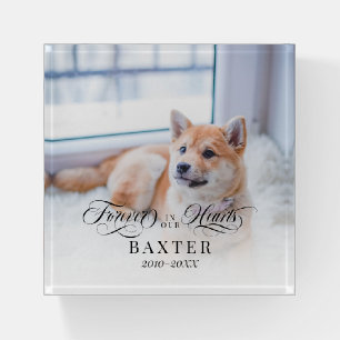Swirly Forever In Our Hearts Pet Photo Memorial Paperweight