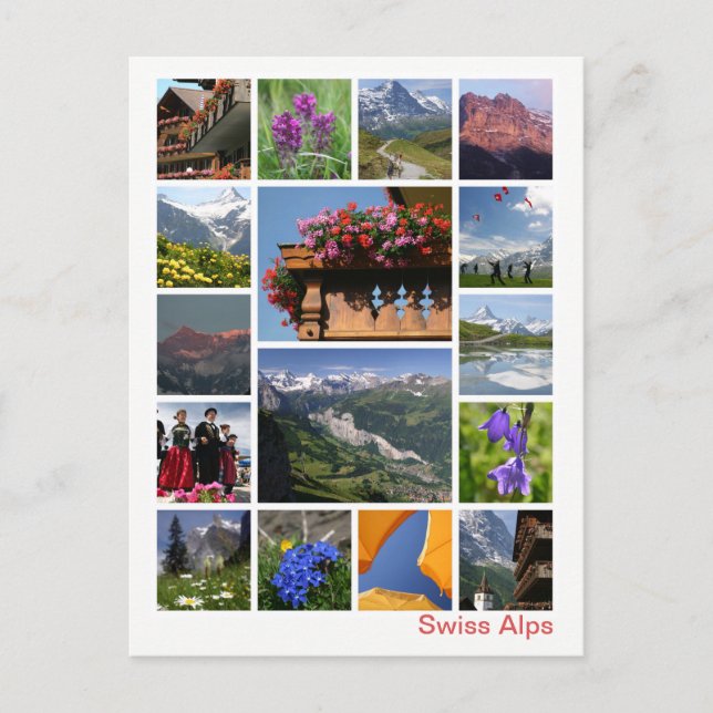 Swiss Alps multi-image 2 Postcard (Front)