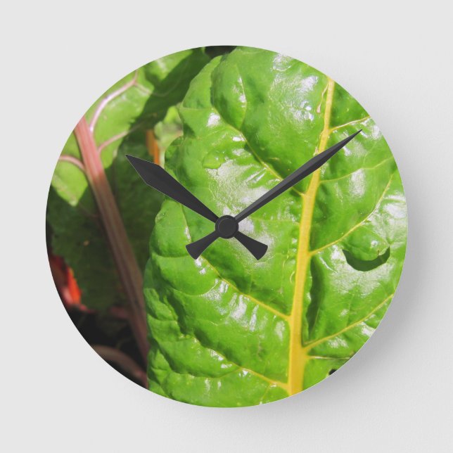 Swiss Chards Round Clock (Front)