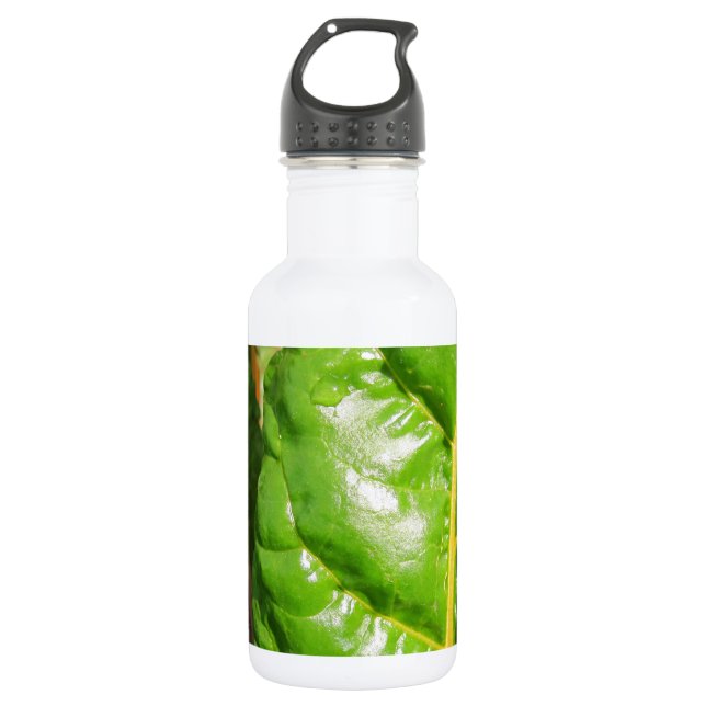 Swiss Chards Water Bottle (Front)
