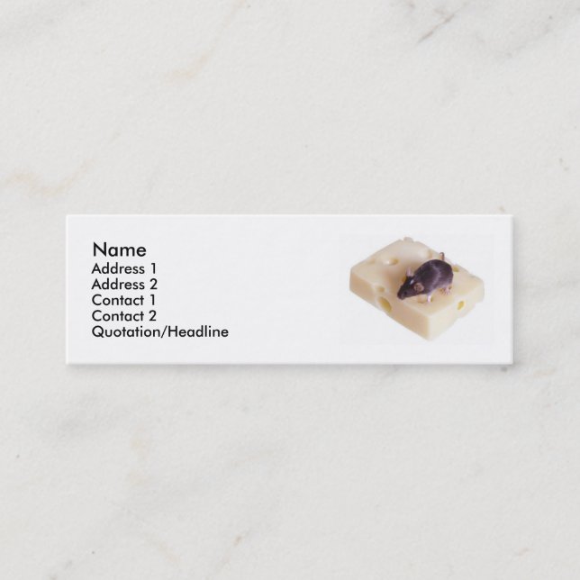 Swiss Cheese Mouse Profile Card (Front)