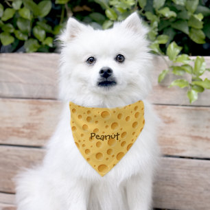 Swiss Cheese Pattern Pet Bandana Collar
