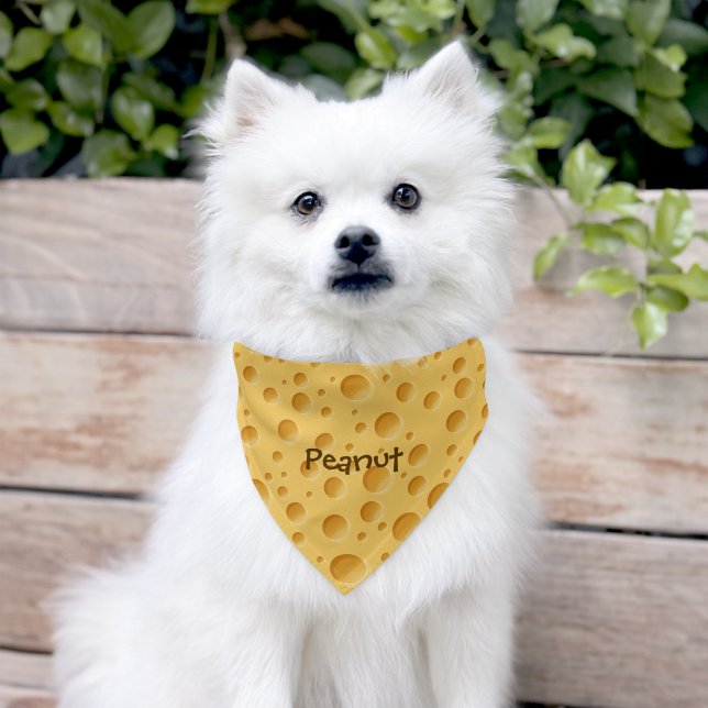 Swiss Cheese Pattern Pet Bandana Collar (Dog)