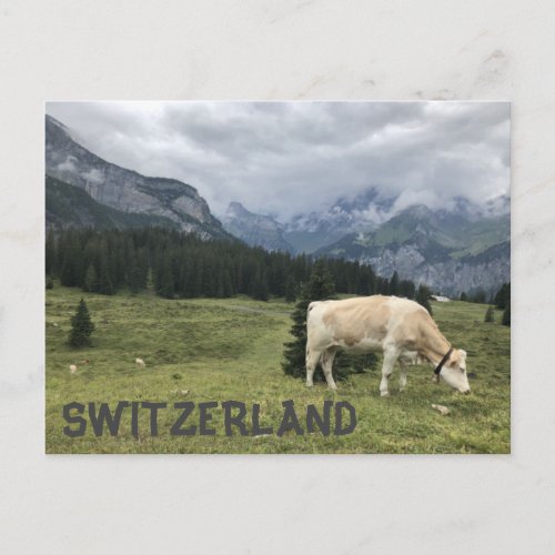 Swiss Cows are Happy Cows Postcard