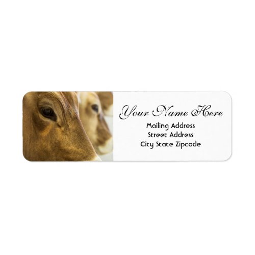 Swiss Dairy Cows Return Address Label