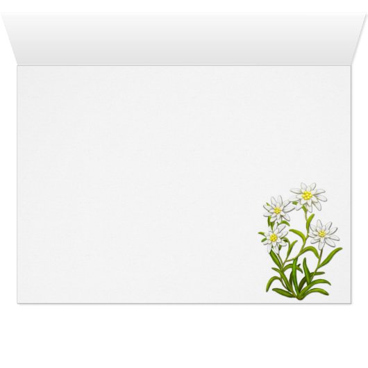 Swiss Edelweiss Flowers Card (Inside Horizontal (Bottom))