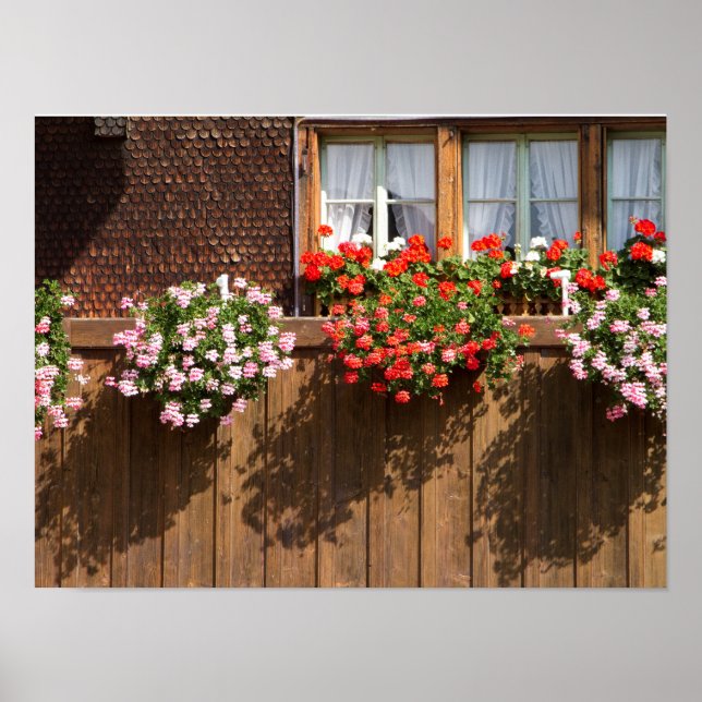 Swiss flower box poster (Front)