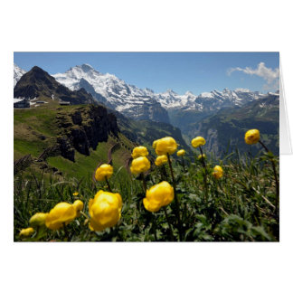 Swiss Greetings cards, Grindelwald, yellow flowers Cards