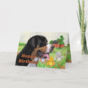 swissie birthday card