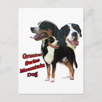 Swissie Trio 2 Postcard