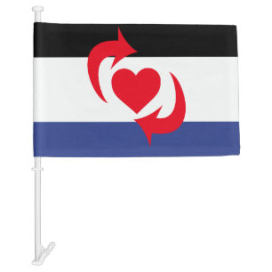 SWITCH PRIDE FLAG