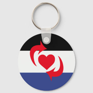 Switch Pride Flag Keychain