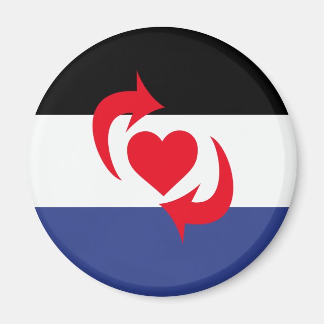Switch Pride Flag Magnet (Front)