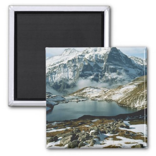 Switzerland Grindelwald Bernese Alps View Magnet