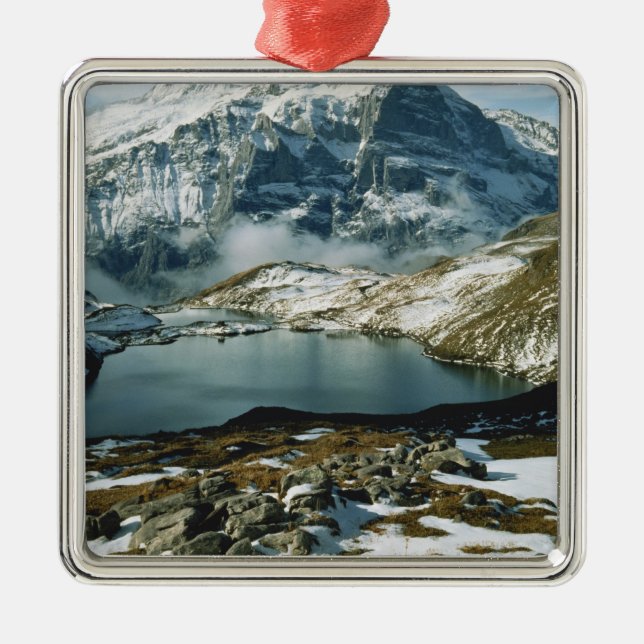 Switzerland, Grindelwald, Bernese Alps, View Metal Ornament (Front)