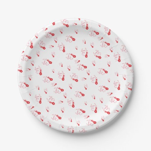 Switzerland _ Suisse _ Svizzera _ Svizra Papptelle Paper Plates