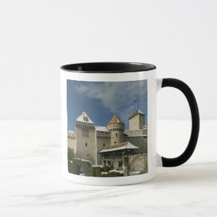SWITZERLAND, Vaud), Swiss Riviera, MONTREUX: Mug