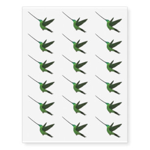 Sword-billed hummingbird cartoon illustration temporary tattoos