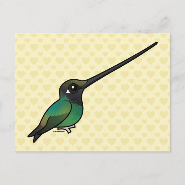 Sword-billed Hummingbird perched Postcard (Front)