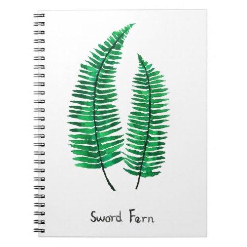 sword fern watercolor notebook