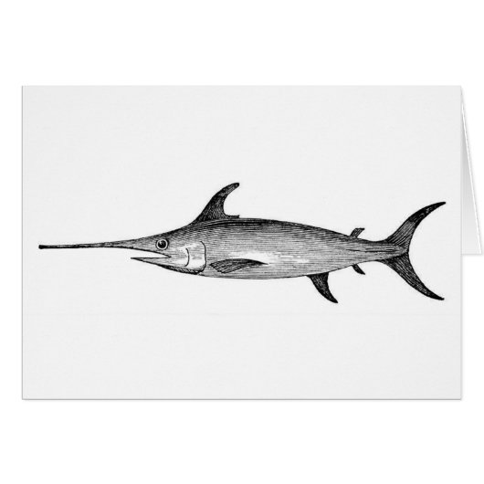Swordfish card, scientific illustration cards (Front Horizontal)