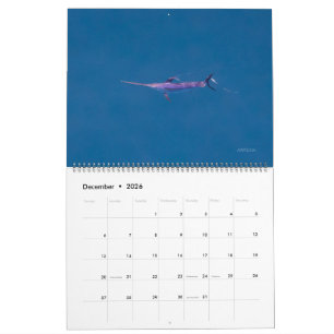 Swordfish Only Calendar 2026