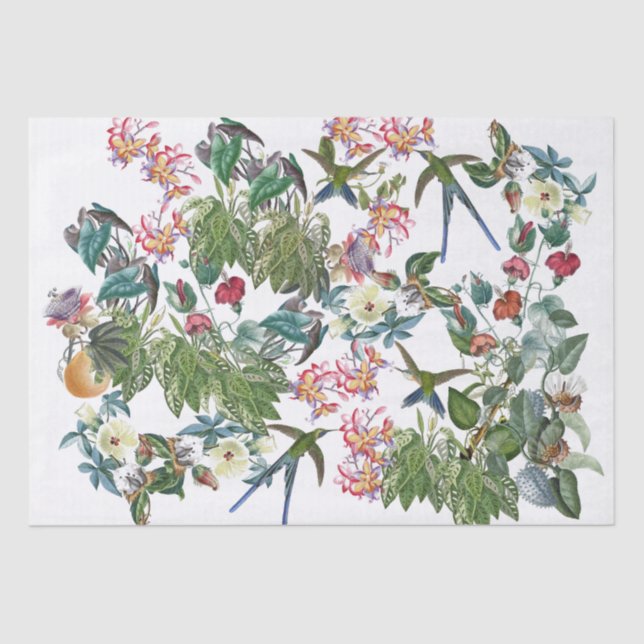 Swordtail Hummingbird Birds Flowers Tissue Paper (Front)