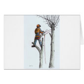 Sycamore and 020t (Front Horizontal)