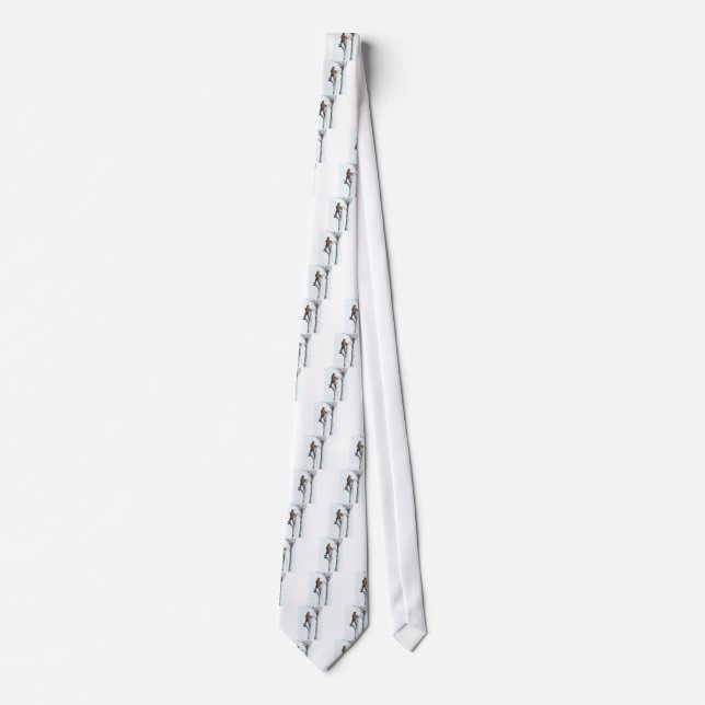 Sycamore and 020t neck tie (Front)