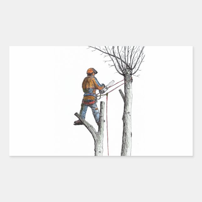 Sycamore and 020t rectangular sticker (Front)