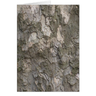 Sycamore bark cards