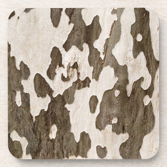 Sycamore Bark Coaster (Front)
