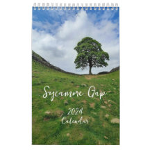 Sycamore Gap 2024 Calendar