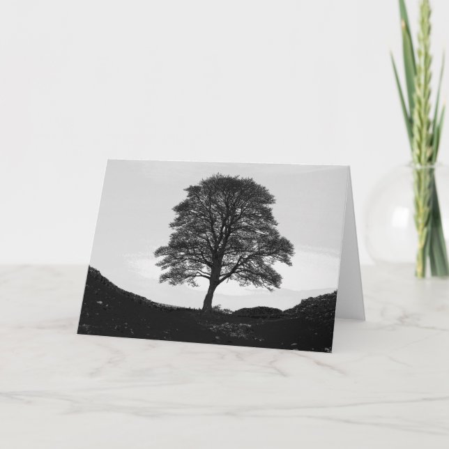 Sycamore Gap Greeting Card (Front)