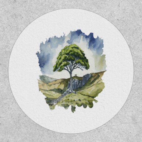 Sycamore gap tree  patch
