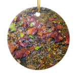 Sycamore Leaves in the Shenandoah River Ceramic Ornament